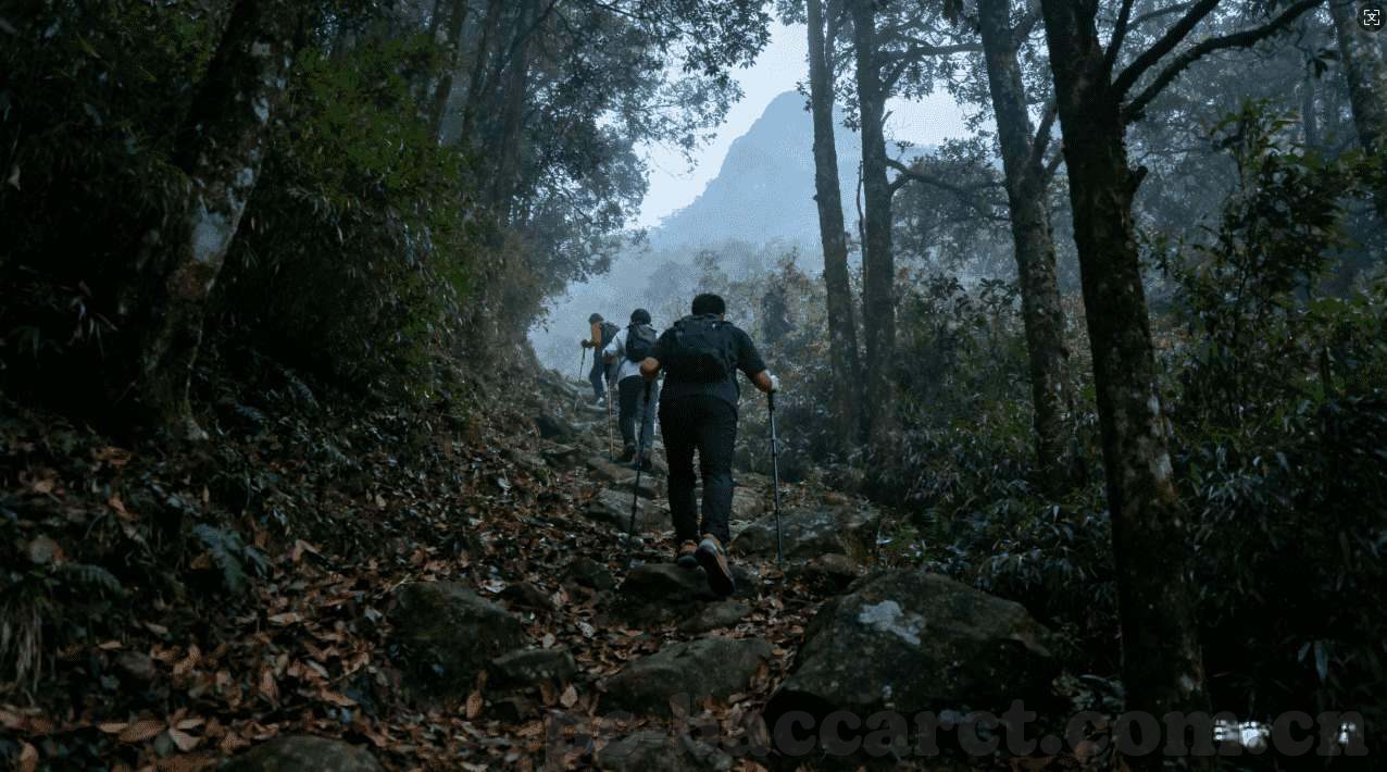 世界杯怎样参与竞猜-世界杯怎样参与竞猜，一场智慧与激情的盛宴