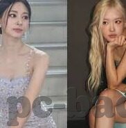 正规投注百家乐的网站-正规投注百家乐的网站，安全、合法与高效的选择