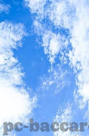 中国对新西兰足球比分-绿茵场上的友谊之约，中国与新西兰足球比分的风云变幻
