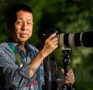 足球比分大于2.5-绿茵激战，当足球比分突破2.5的阈值，激情与悬念的双重盛宴